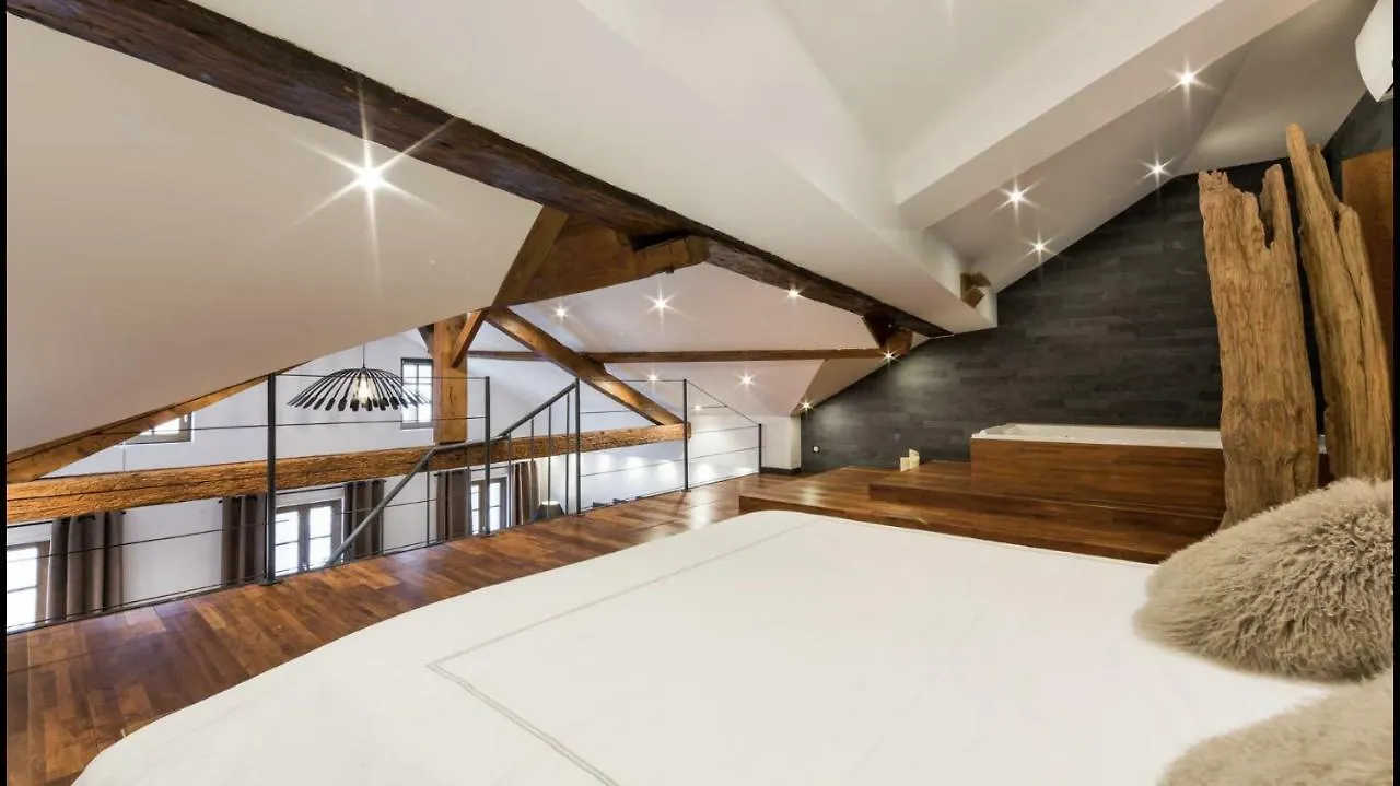 Les Suites Sainte Claire Annecy Apartment